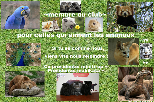 http://img91.xooimage.com/files/4/b/1/tianimaux--3c3a735.png